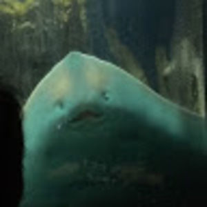 Meet your Posher, Madeleine